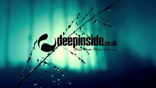 Groove Assassin & Sol Brown feat Selina Campbell - Fireflyin' (Quantize Recordings)