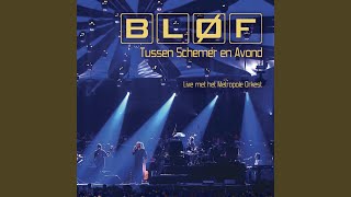 De Mooiste Verliezers (Live)