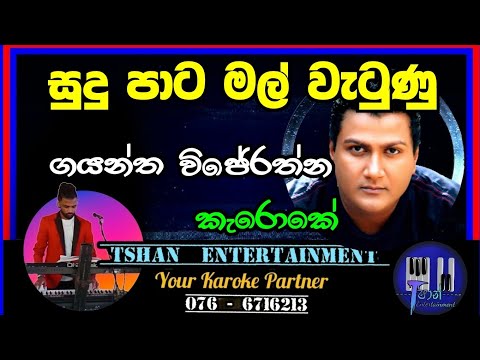 Sudu pata mal / Karoke / සුදුපාට මල් / Gayantha Wijerathna #karoke #sinhalaoldhit #sinhala2000songs