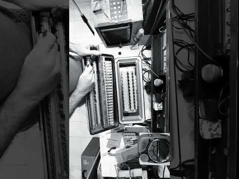 Tuning a Dallape Organtone with chamber #accordionrepair