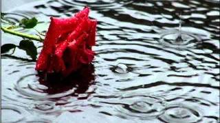 Renato Russo (Monte castelo)