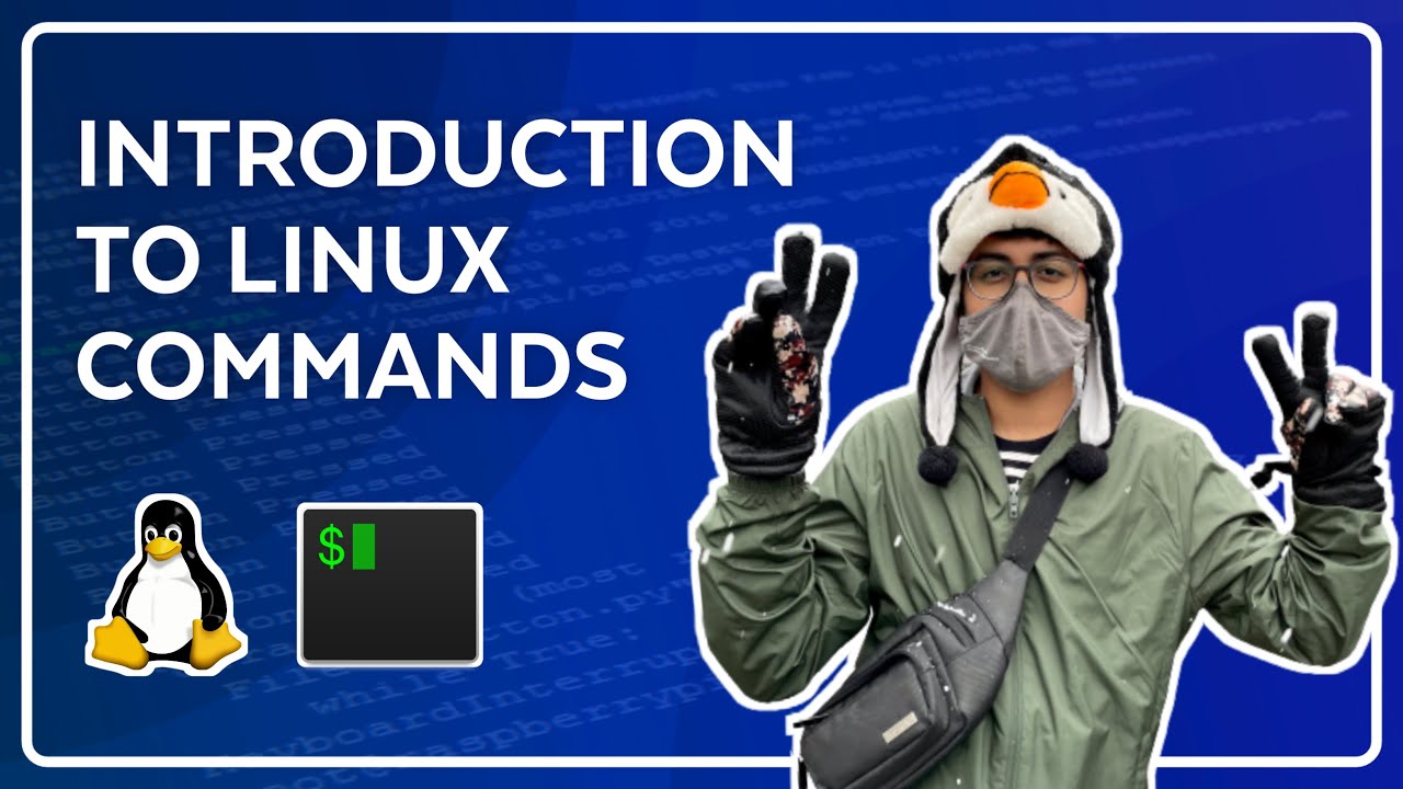 Introduction to Linux & Terminal Commands - Full Course for Beginners