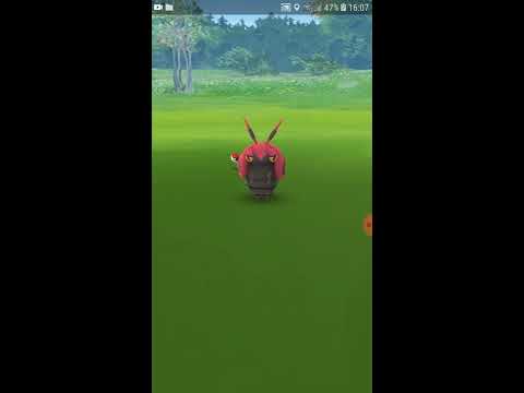 Lovíme pokemony pokemon go#1