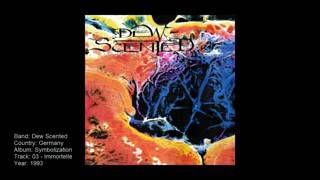 Dew scented - immortelle