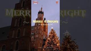 Merry &amp; Bright in Krakow #worldholidayvibes #goodvibesshorts #krakow #christmasmarket