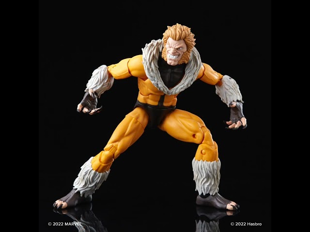 Vídeo relacionado con Marvel Hasbro Legends Series - Figura de Sabretooth de los X-Men - Juguete de colección de 15 cm, con 3 Piezas de Figura para armar