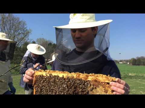 Zu Besuch bei der Bioimkerei Berghane