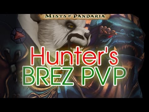 Level 90 Hunter PVP - Hunter BREZ X5 = OP - World of Warcraft: Mists of Pandaria Patch 5.1