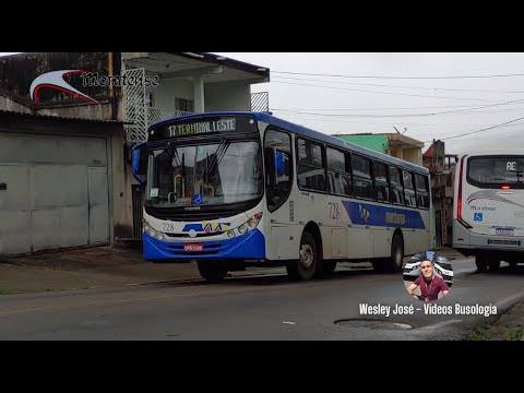 Apache VIP II sc -  MB OF-1722M - Moratense 728
