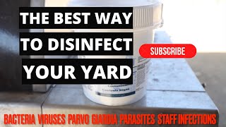 THE BEST WAY TO DISINFECT YOUR YARD