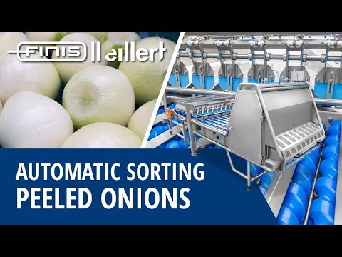 Automatic Sorting Peeled Onions With Vision Technology