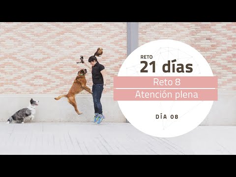 Un reto con tu perro: atención plena