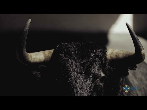 SORTEO | Corrida toros 11 mayo, La Quinta