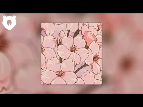 LoFi Music Promotion 2023 - Kansha By Barradeen | Chill | Relaxing | Chillhop Study Beats ☕ 🐻