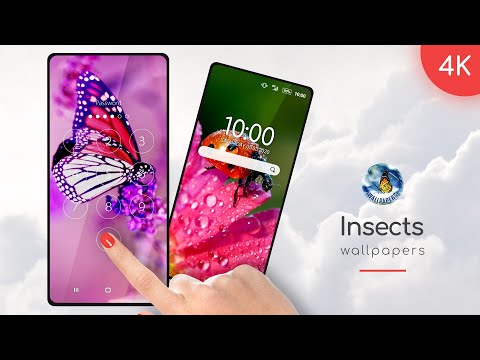 Insects Wallpapers in 4K Video
