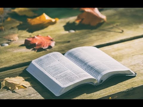 A VOLTE SCEGLIAMO LE COSE FUTILI AL POSTO DI QUELLE ESSENZIALI