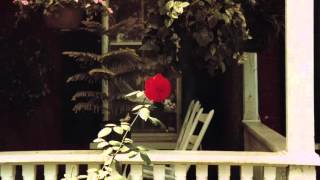 Gimmer Nicholson - "Millennial Harbinger" (Light In The Attic Records)