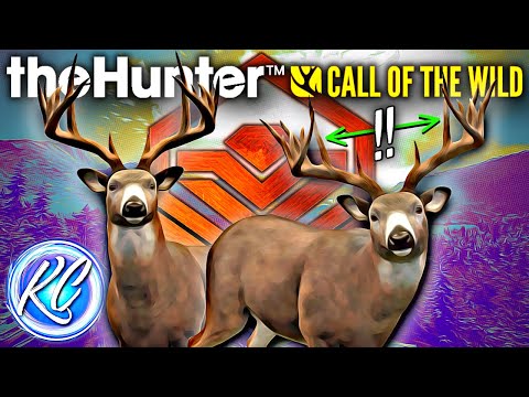 INSANELY RARE 271+ BASKET RACK Diamond Whitetail AND My Biggest Diamond EVER! | Call of the Wild