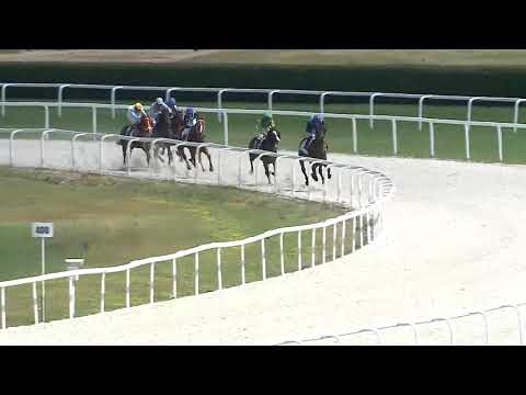 2018.05.20. 1. futam - IMREMAJORI HENDIKEP (V/b.) (szintetikus pálya)