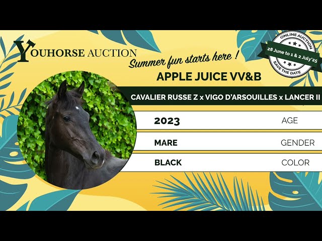Apple Juice VV&B