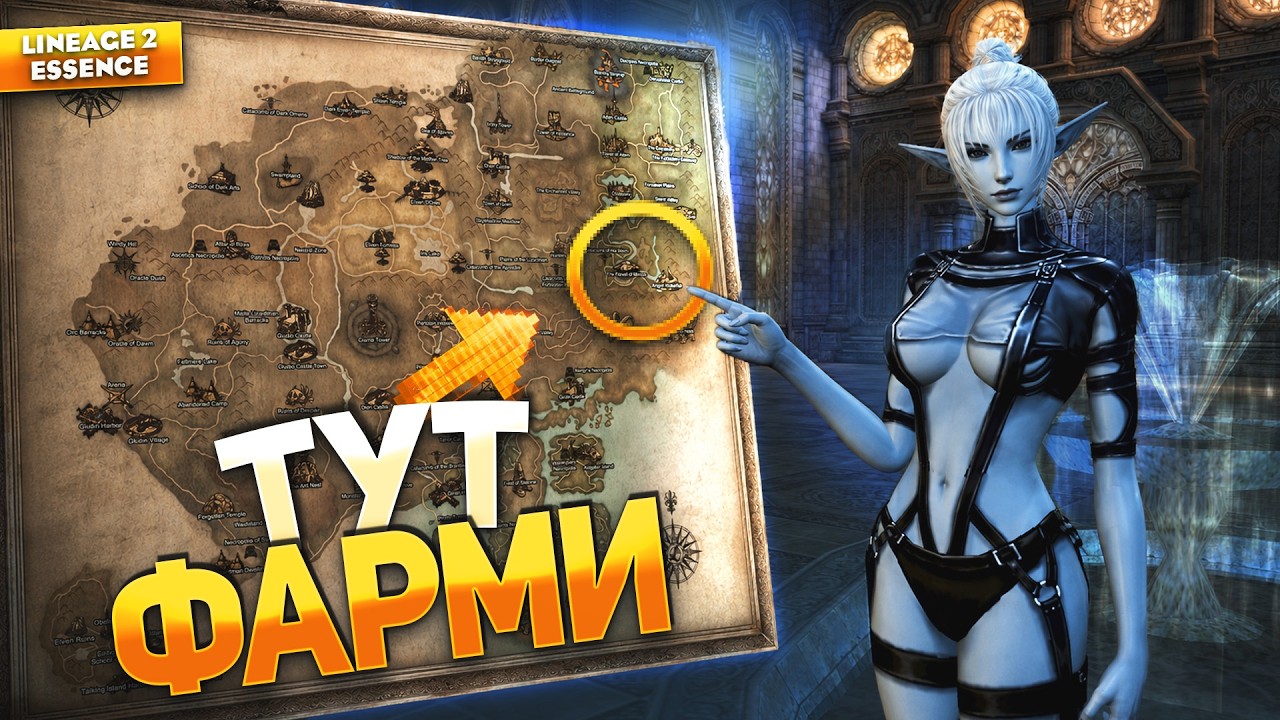 ЛУЧШИЕ МЕСТА ДЛЯ ФАРМА в 2026 году в Lineage 2 Essence