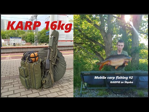 Mobilny Karpiarz #2 KARPIE ze Śląska