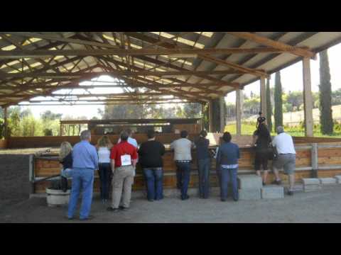 download lagu mp3 mp4 Premier Equine Infrared, download lagu Premier Equine Infrared gratis, unduh video klip Premier Equine Infrared