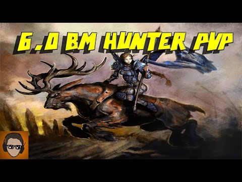 6.0.3 BM Hunter PvP - Awesome Pet Damage - Patch 6.0