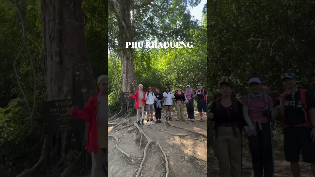 เพื่อนพาเที่ยว คนนำเที่ยว - เพื่อนเที่ยว - 2