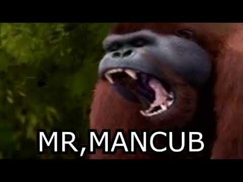 Now I'm a Gigantopithecus