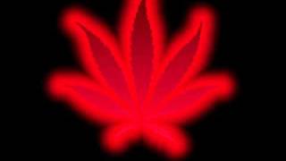 Jake D feat. Collie Buddz- Mi Sweet Sensi Dub