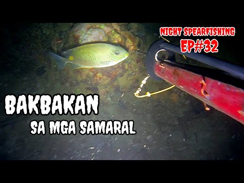 night spearfishing EP#32 mga katusok napa subo tayo sa mga samaral