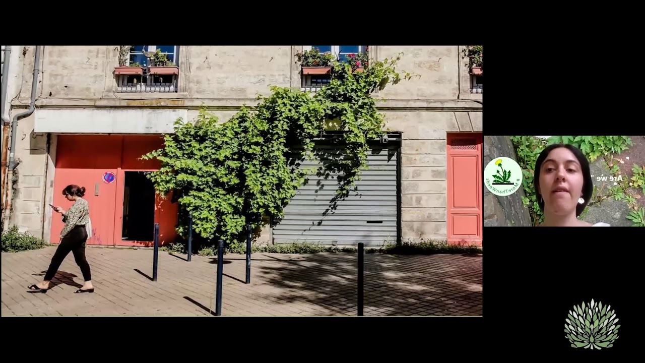 Sophie Leguil, More Than Weeds