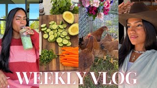 WEEKLY VLOG ♡ (day in my life in texas, what I eat in a day, staying healthy, getting CHICKENS!!+)