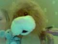 Lion And The Mouse In The Jungle