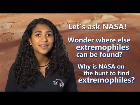 Our World:  Where Do We Find Extremophiles?
