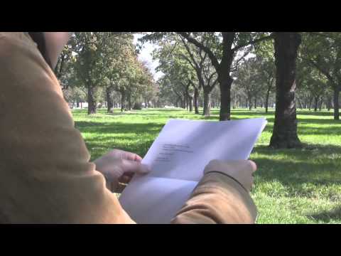 Deník Referendum - Nedělní chvilka poezie. Díl 45. - Dagmar Urbánková: "Bez názvu"