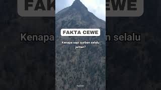 Download lagu Kenapa sapi qurban jantan? Karena? #shorts #short #youtubeshorts #youtubevideo #shortsfeed mp3