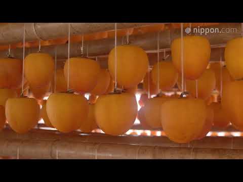 Noto Shika Korogaki: Delectable Dried Persimmons from Ishikawa Prefecture | Nippon.com