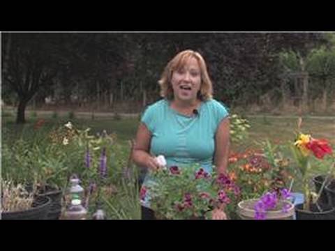 , title : 'Gardening & Plant Care Tips : How to Get Rid of Mites on Plants'