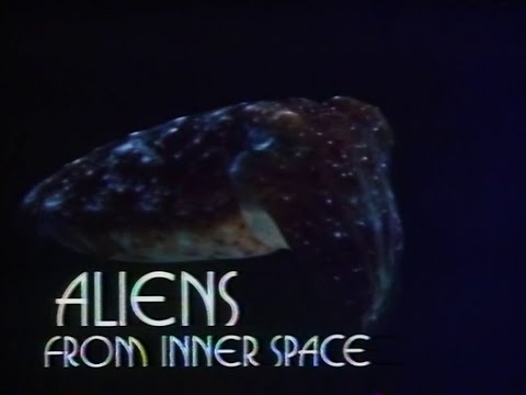 Wildlife on One - S12E02 - Aliens From Inner Space (17 November 1983)