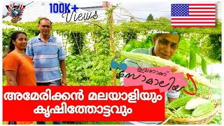 KERALA STYLE ORGANIC BACKYARD VEGETABLE GARDEN TOUR | #mohanlalfarm [ American Malayalam vlog]