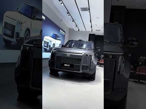 ROX 01 #electriccarchina #luxury#offroad #offroad4x4 #cardealer