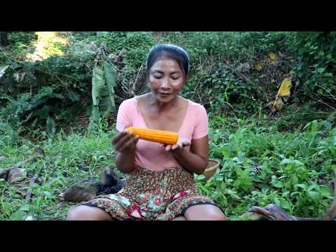 Survival skills: Finding natural corn & boiled on clay for food - Cooking Corn eating delicious Video