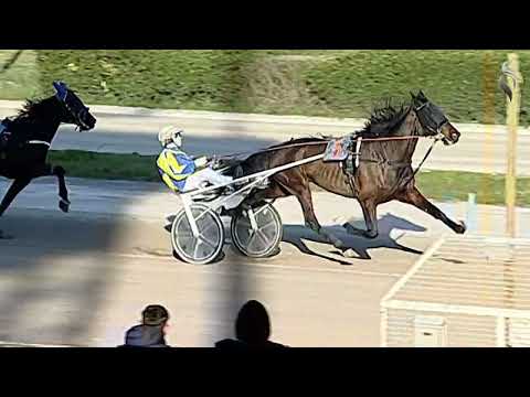 Aversa trotto 2 Marzo 2022 - 4° Corsa