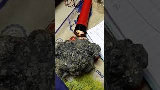 californium 252 torch test