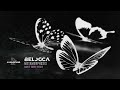 Belocca - Metamorphosis (Marie Vaunt Remix)