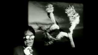 Some YoYo Stuff: An observation of the observations of Don Van Vliet by Anton Corbijn. 1993