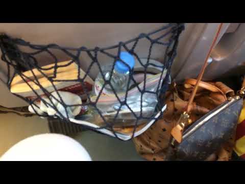 Allegro Train at St Petersburg