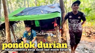 Download lagu The Badameo Dayak tribe lives in a hut in the middle of the forest during the durian season. mp3